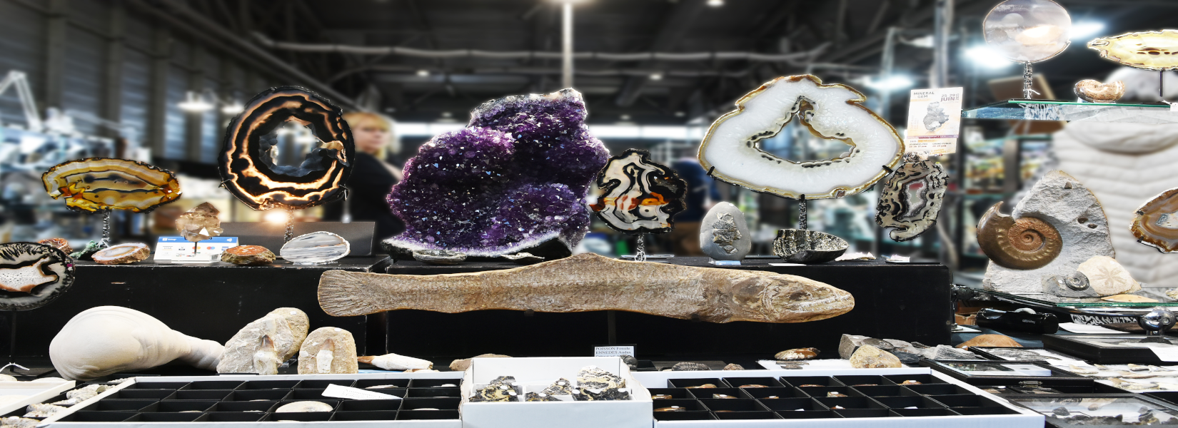 Exposants Minéral Expo